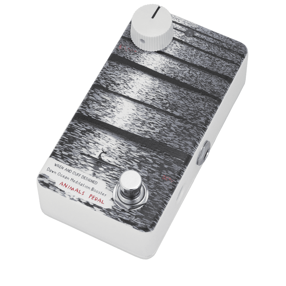 Animals Pedal Dawn Ocean Meditation Booster
