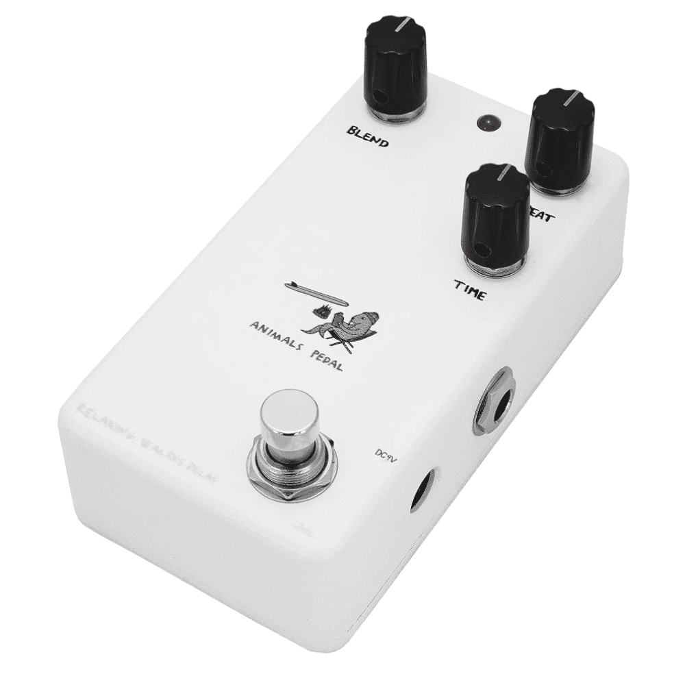 Animals Pedal RELAXING WALRUS DELAY