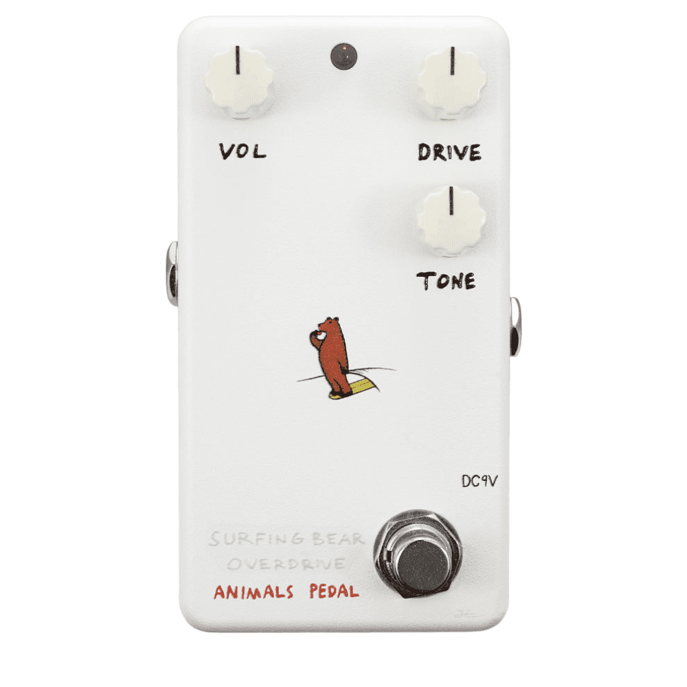 Animals Pedal Surfing Bear Overdrive