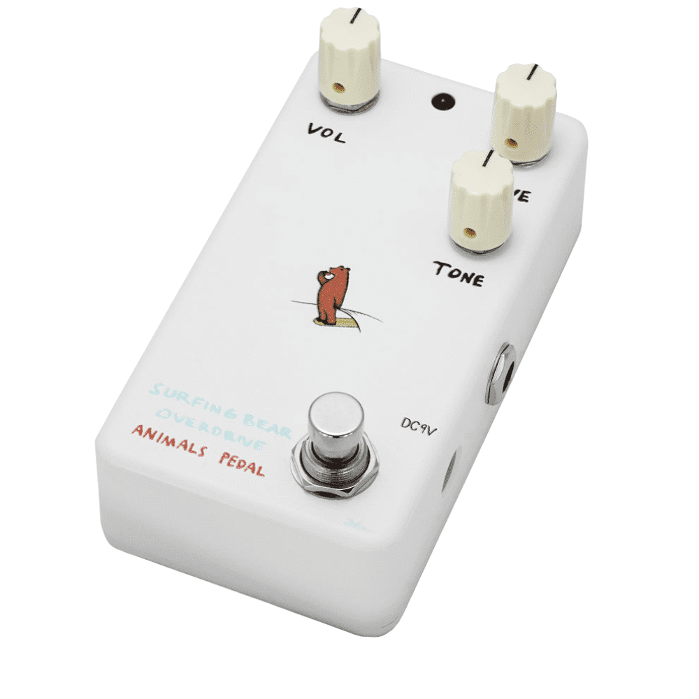 Animals Pedal Surfing Bear Overdrive